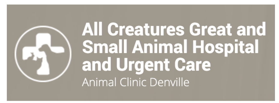 All Creatures Great and Small Animal Clinic